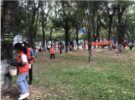 番禺｜桥南街开展“大小齐动手，大树换新装”社区美化活动