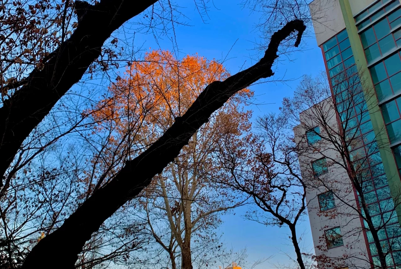 庆熙大学韩国排名第几,韩国庆节熙大学留学学费