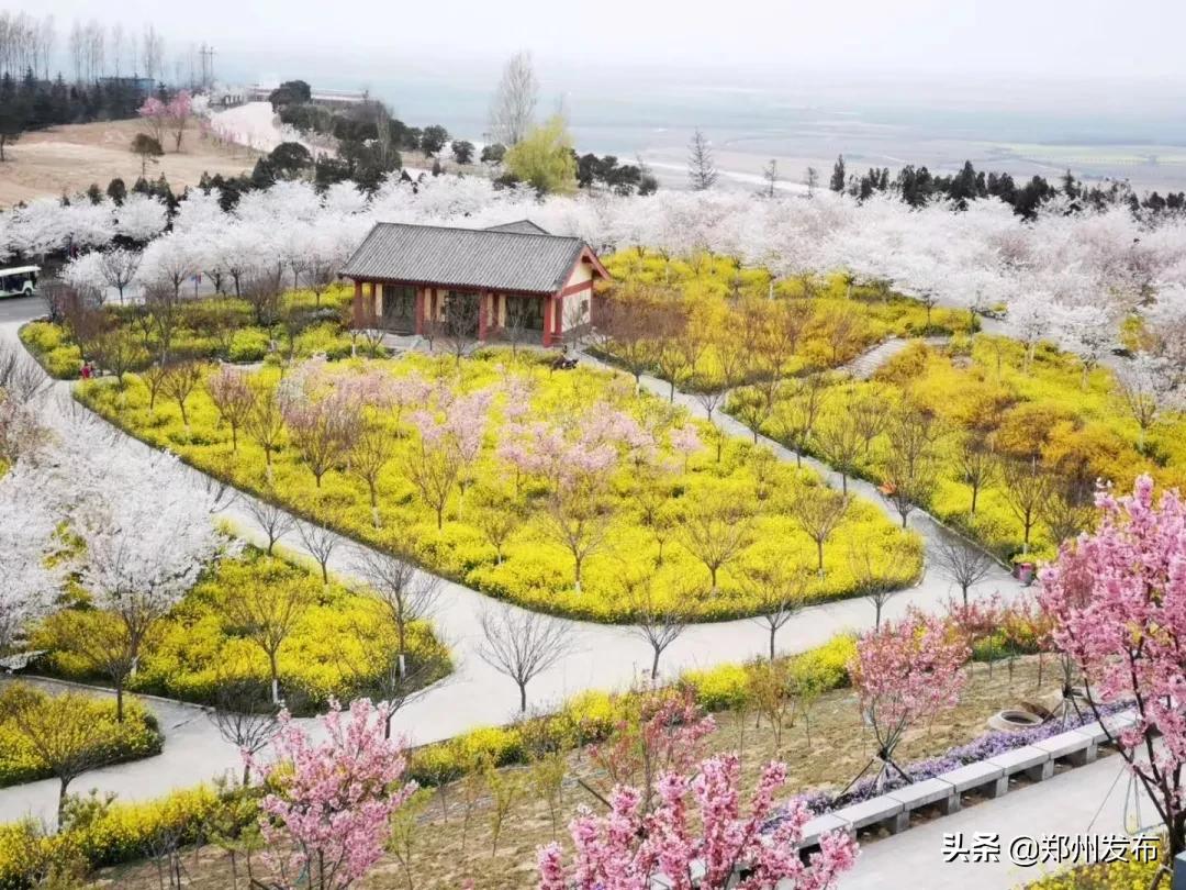 有序开放室内景区,有序开放的公园