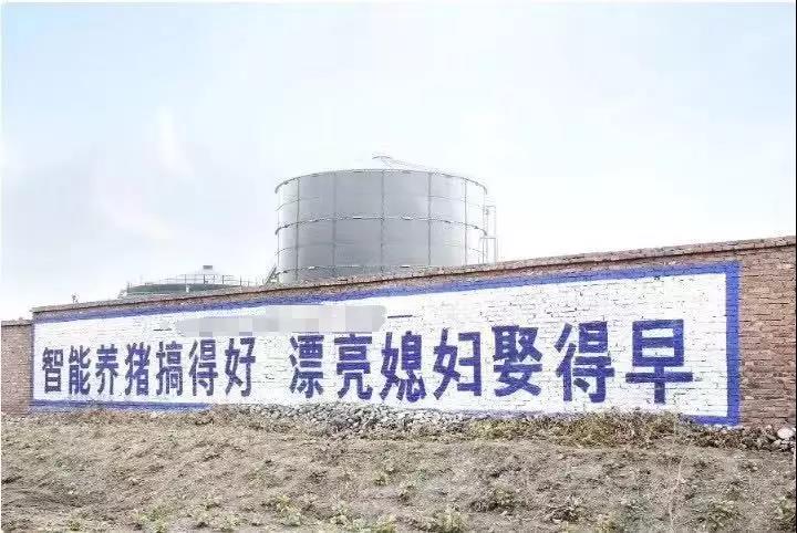 互联网dalao布局养猪，葫芦里卖的什么药