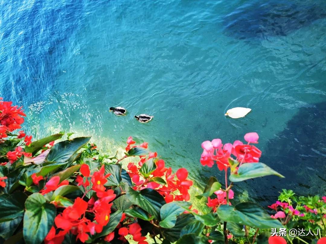 跟着小天玩游戏,跟着小天去旅行