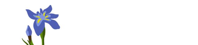 走近强迫症（二）