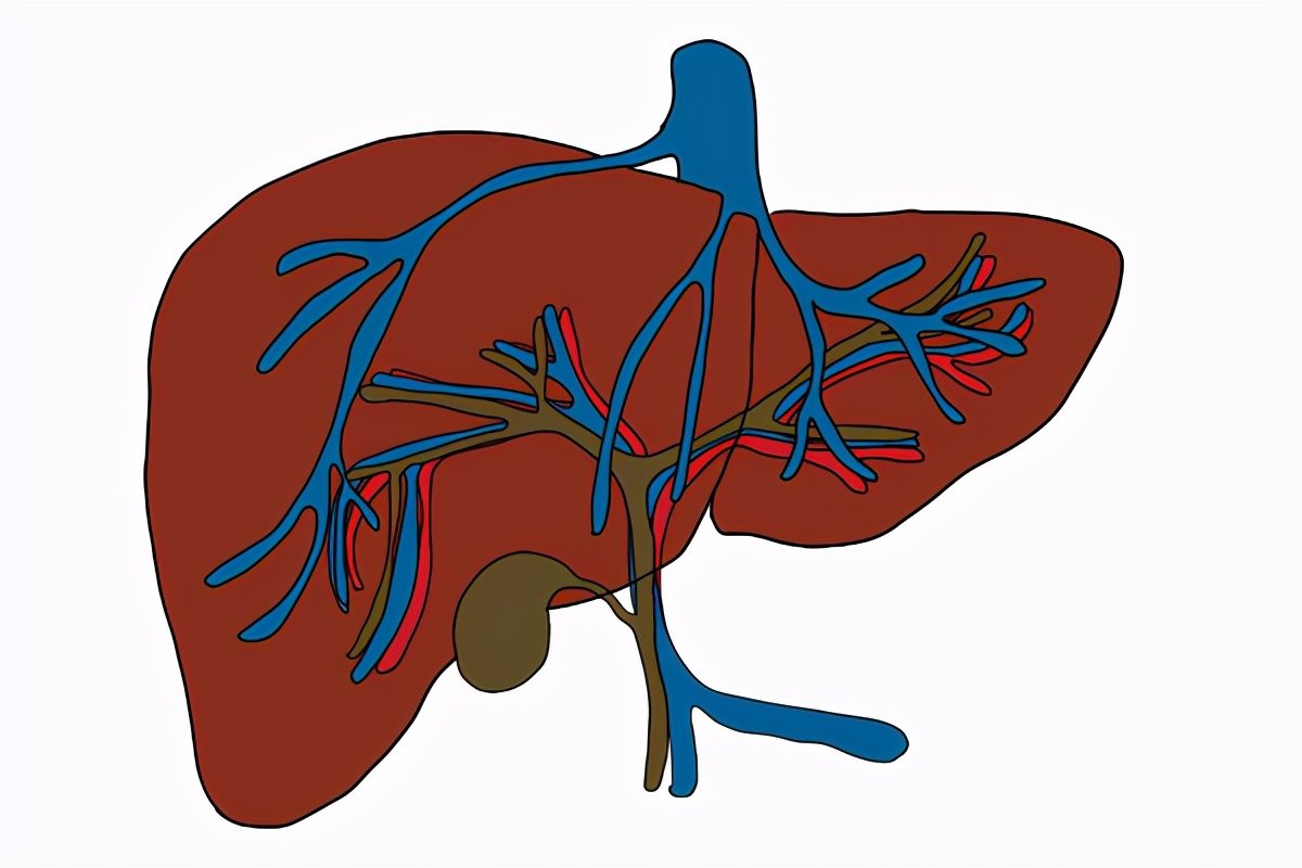 癌细胞死亡会引起癌胚抗原升高吗,癌细胞大量死亡癌胚抗原升高