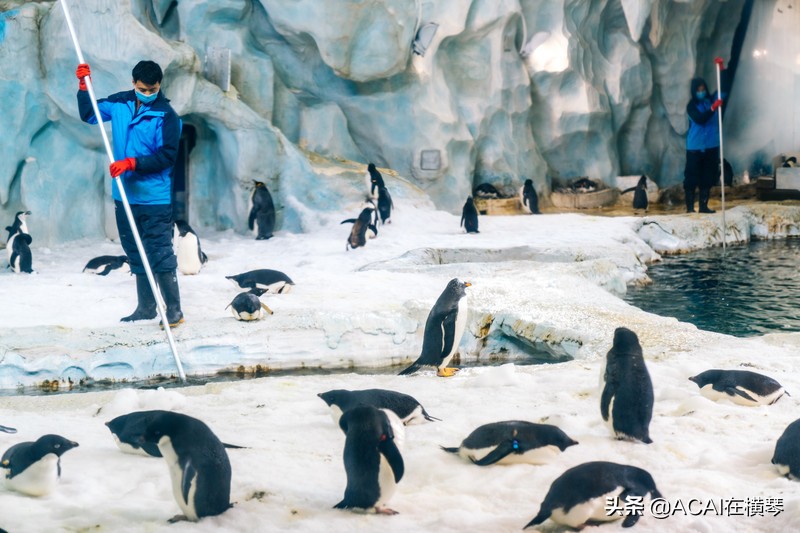 吃喝玩乐in珠海,珠海吃喝玩乐一体的地方