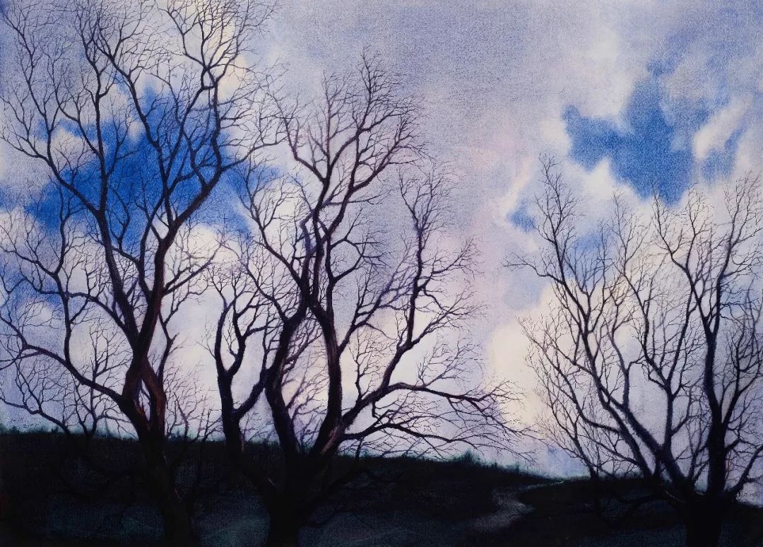 走进艺术回望生活,艺术家走进校园活动感悟