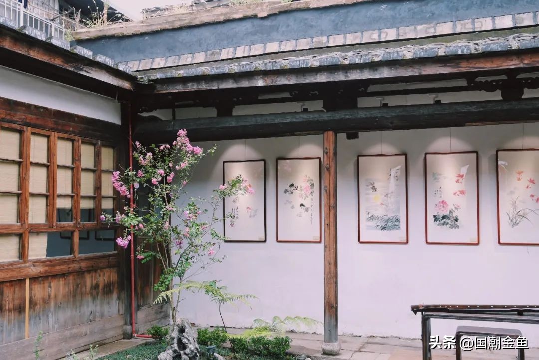 百年非遗福州观赏金鱼培育技艺,国粹传统金鱼