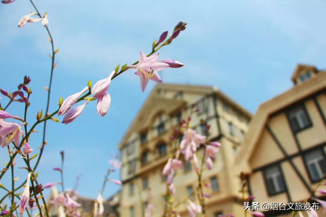 张裕卡斯特酒庄窖藏5年,张裕卡斯特酒庄品酒