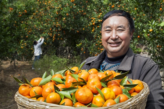 拼多多东西那么便宜货源哪里来的,拼多多上东西那么便宜怎么赚钱