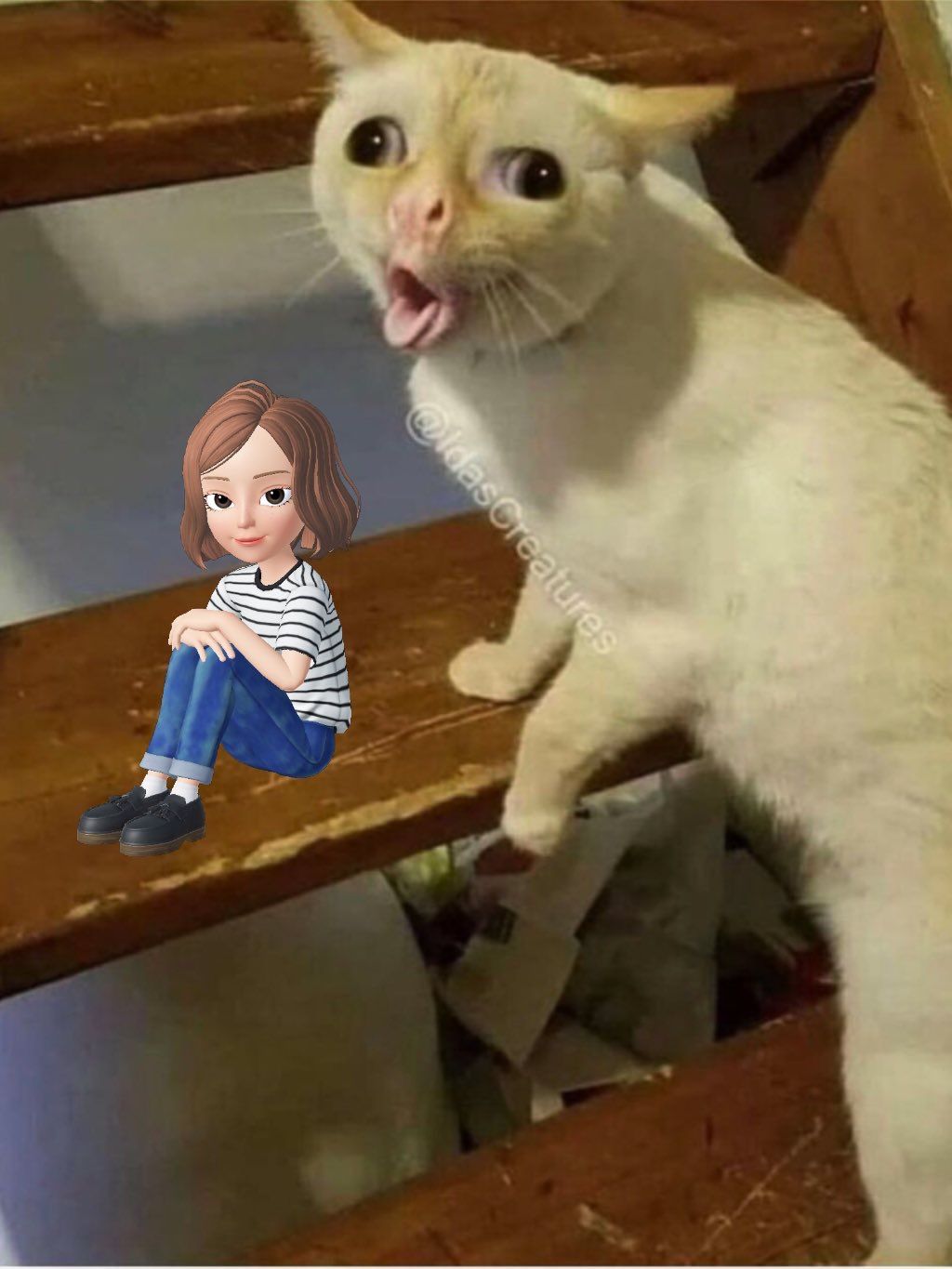 谁能想到，2018年的QQ秀还能帮直男脱单？