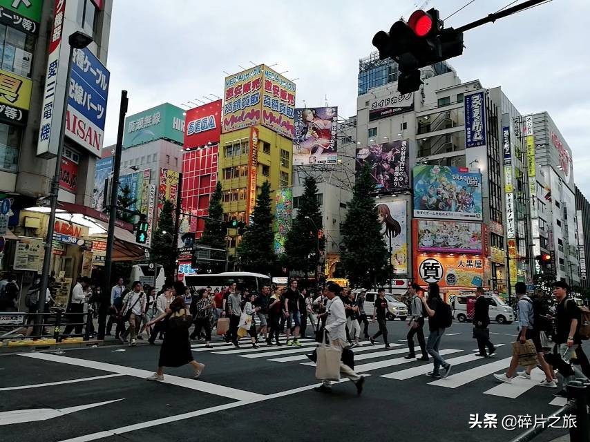 乘风破浪的姐们-上海日本豪华游轮六天五夜游攻略