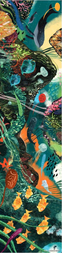 提高3-6岁孩子想象力的绘本,让孩子提升想象力的书