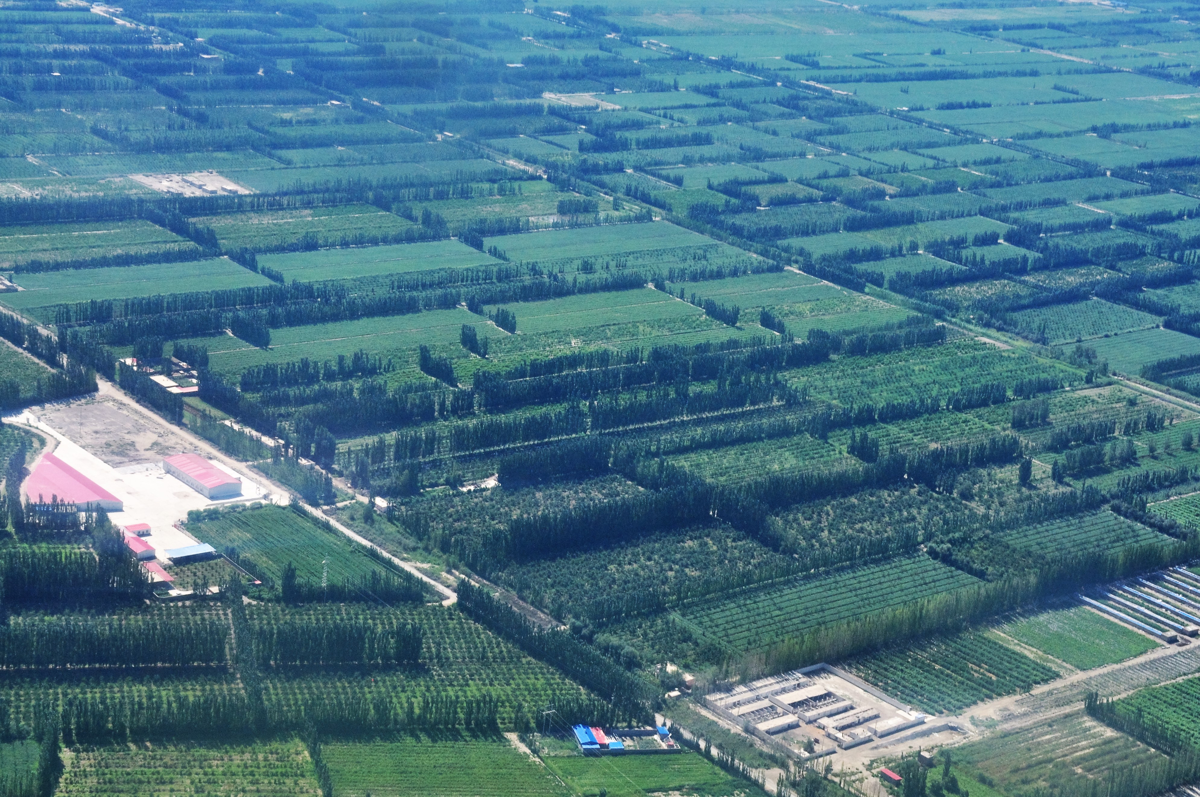 库尔勒到郑州航班8月,库尔勒到郑州的机票哪个月便宜