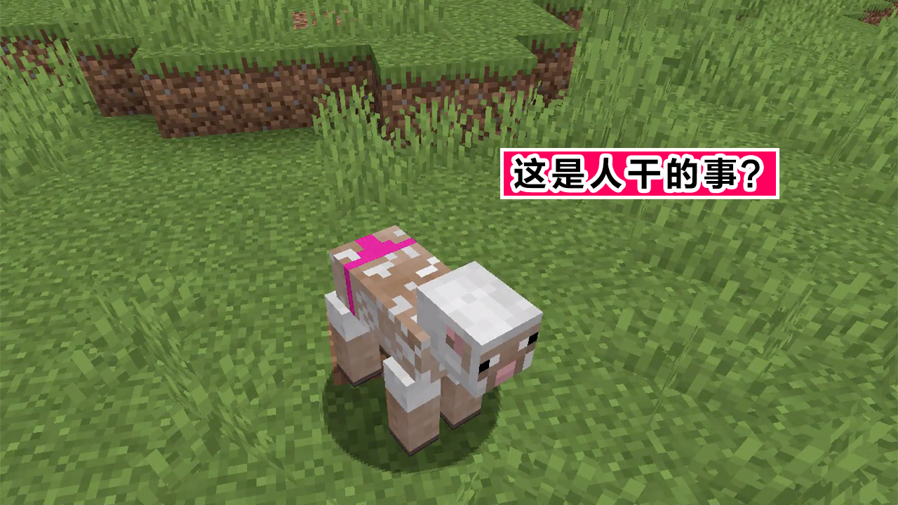 我的世界8大恶搞图，末影人请放开那只羊，村民睡觉有自己的想法