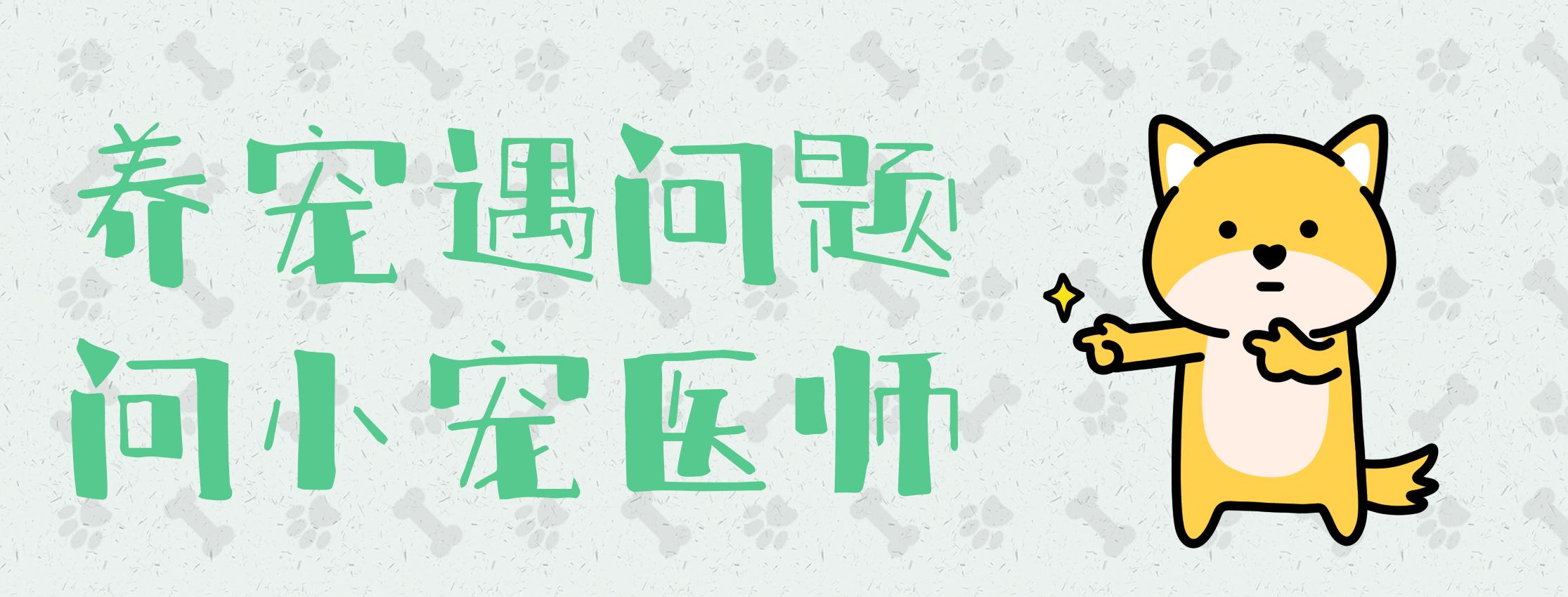 猫狗有眼屎用什么眼药水,猫狗眼睛流眼泪里面有眼屎