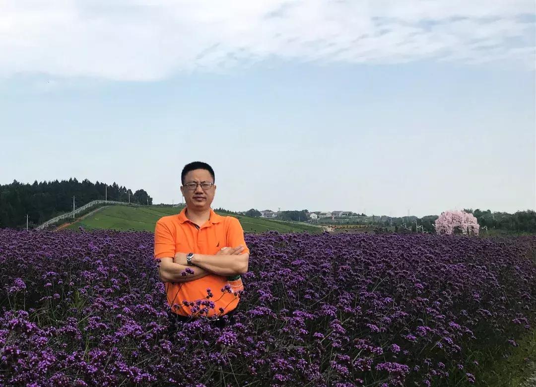 深中保送清华,深中北大清华录取名单