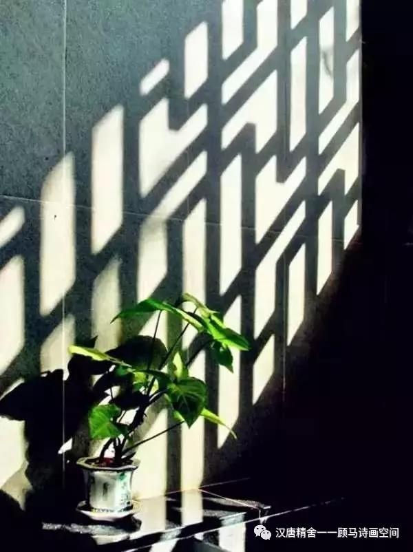 椤鹃┈,椤鹃┈鏂囩珷