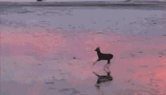 互联网“算命”平台,互联网算命渠道