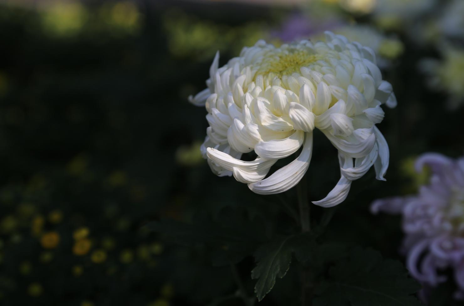 摄影后期如何处理颜色,摄影照片后期处理教程