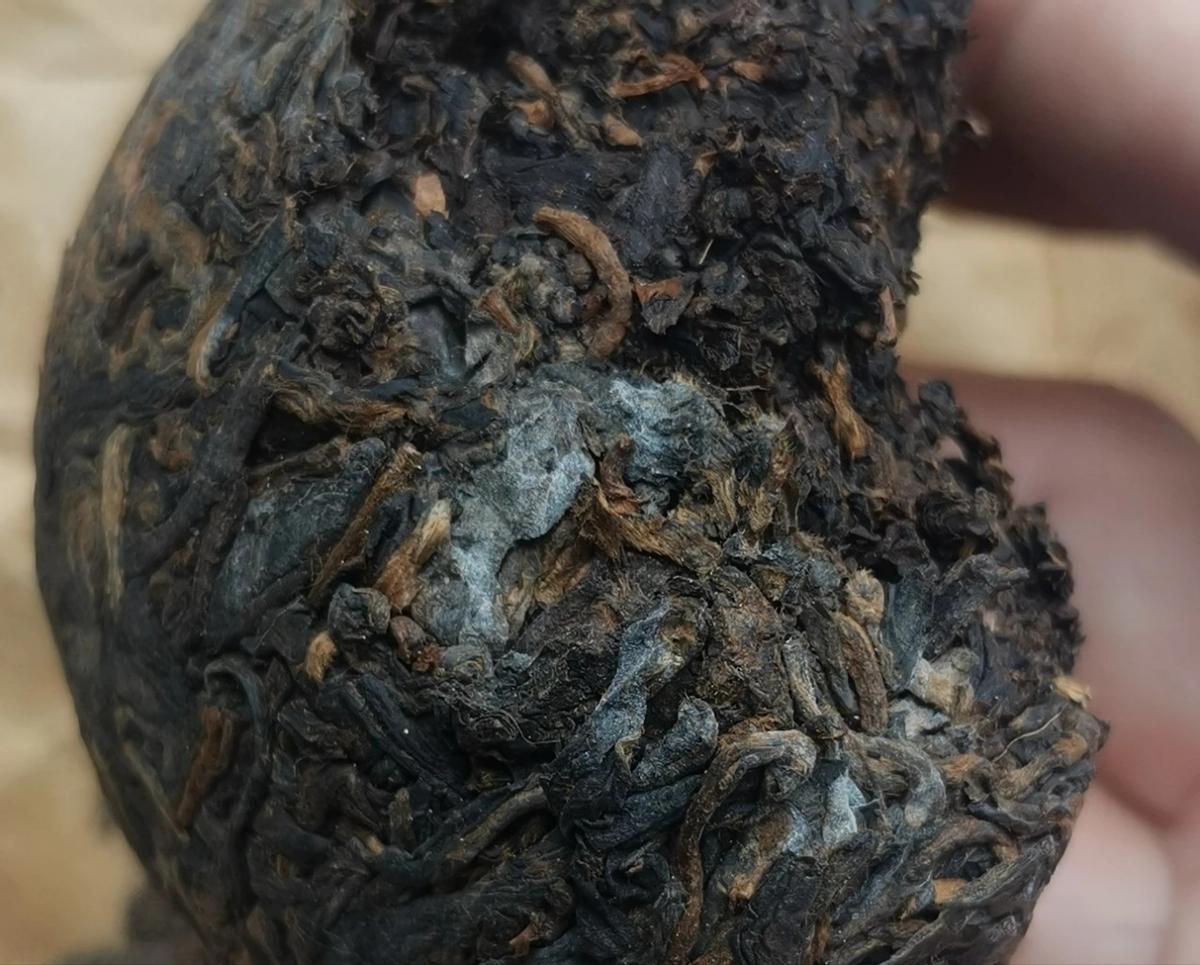 普洱熟茶变质了喝了会怎么样,普洱茶熟茶有细菌吗可以喝吗