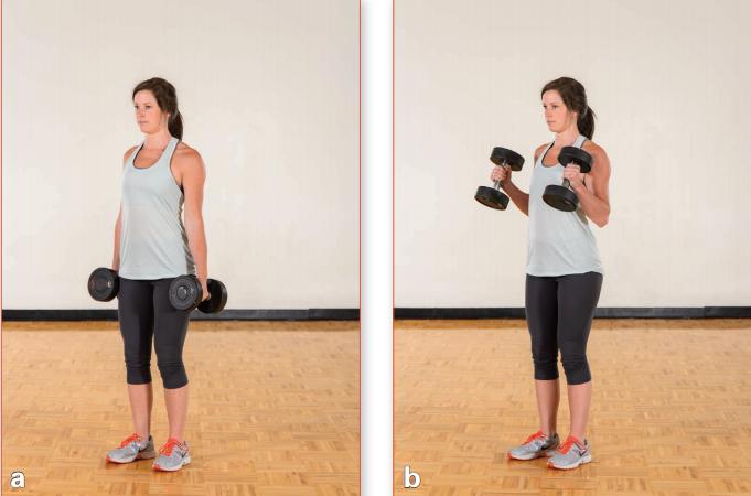 力量训练一周6练训练计划,一天练三个部位的力量训练