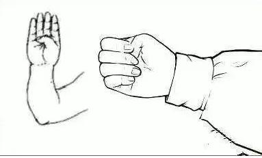 专家整顿养肾护肾口诀,老中医不用食补的健身方法