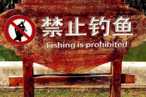 泥鳅党到底是什么,为什么禁止泥鳅党