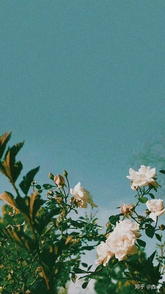 经典文章段落摘抄,文章段落的摘抄