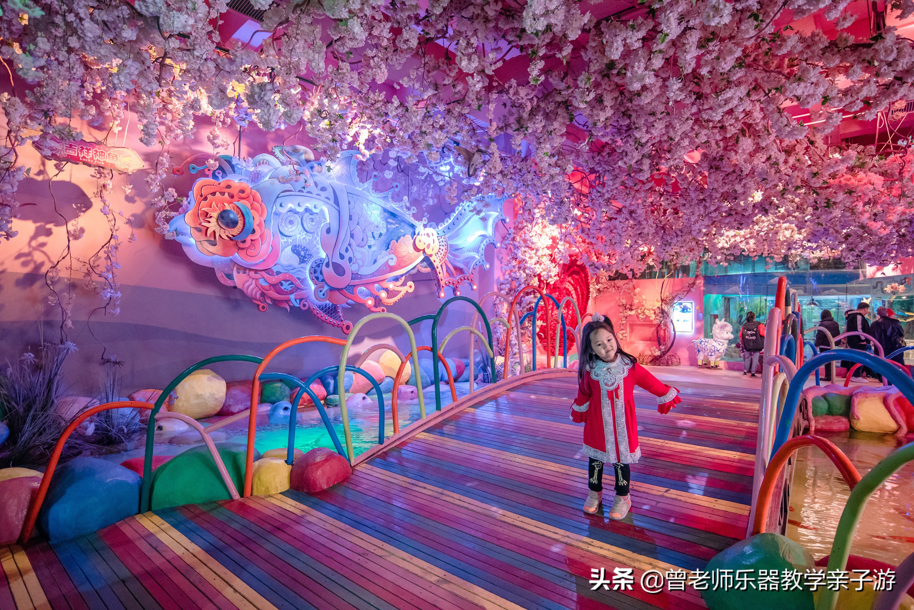 西安太奥海洋馆,西安极地海洋世界海豚表演