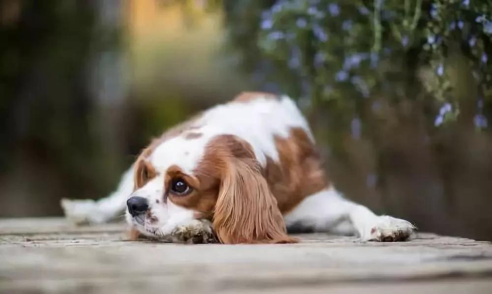 髋关节出了问题一个动作自测,这些症状你千万别再忽略了