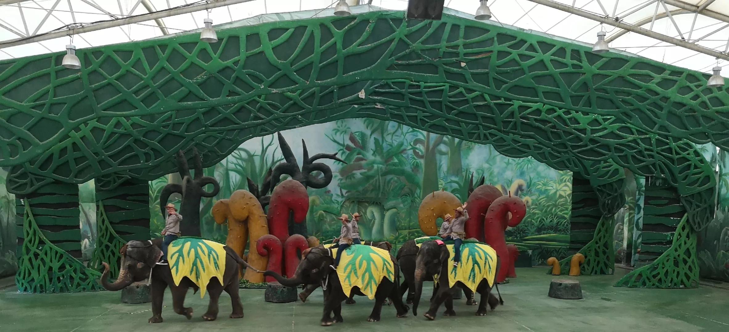 常州恐龙园恐龙穿越侏罗纪,常州恐龙园恐龙游街