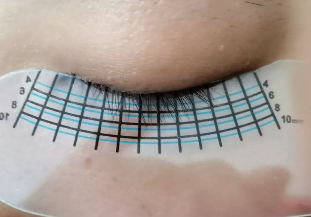 几十块钱美睫毛,几十块钱的睫毛增长液有效果吗