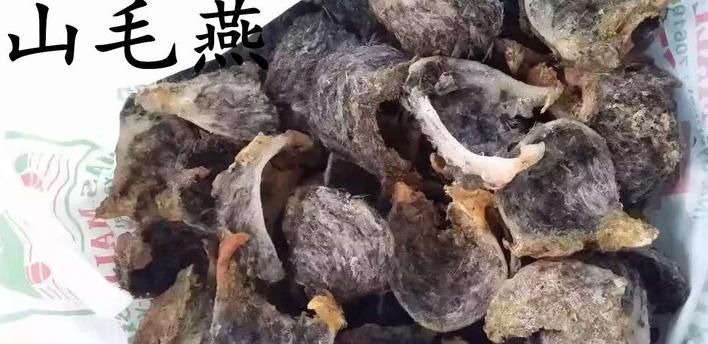 燕窝真假鉴别最简单方法,燕窝鉴别方法怎样辨别优质燕窝