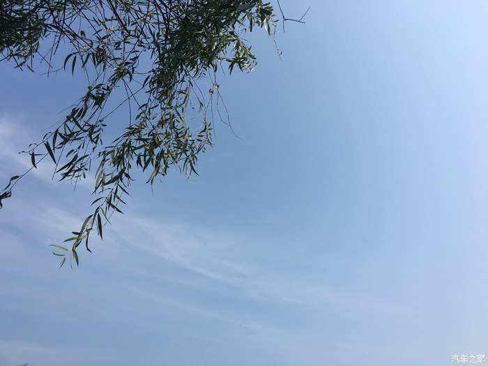 人生感悟一段很现实的话,人生感悟文案