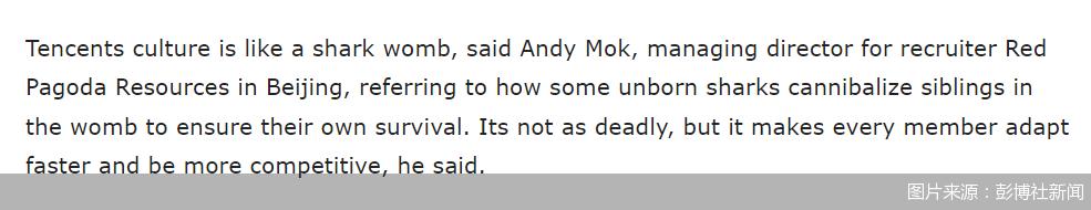 英雄联盟手游国服最新排行榜,英雄联盟手游最新版本强度排名