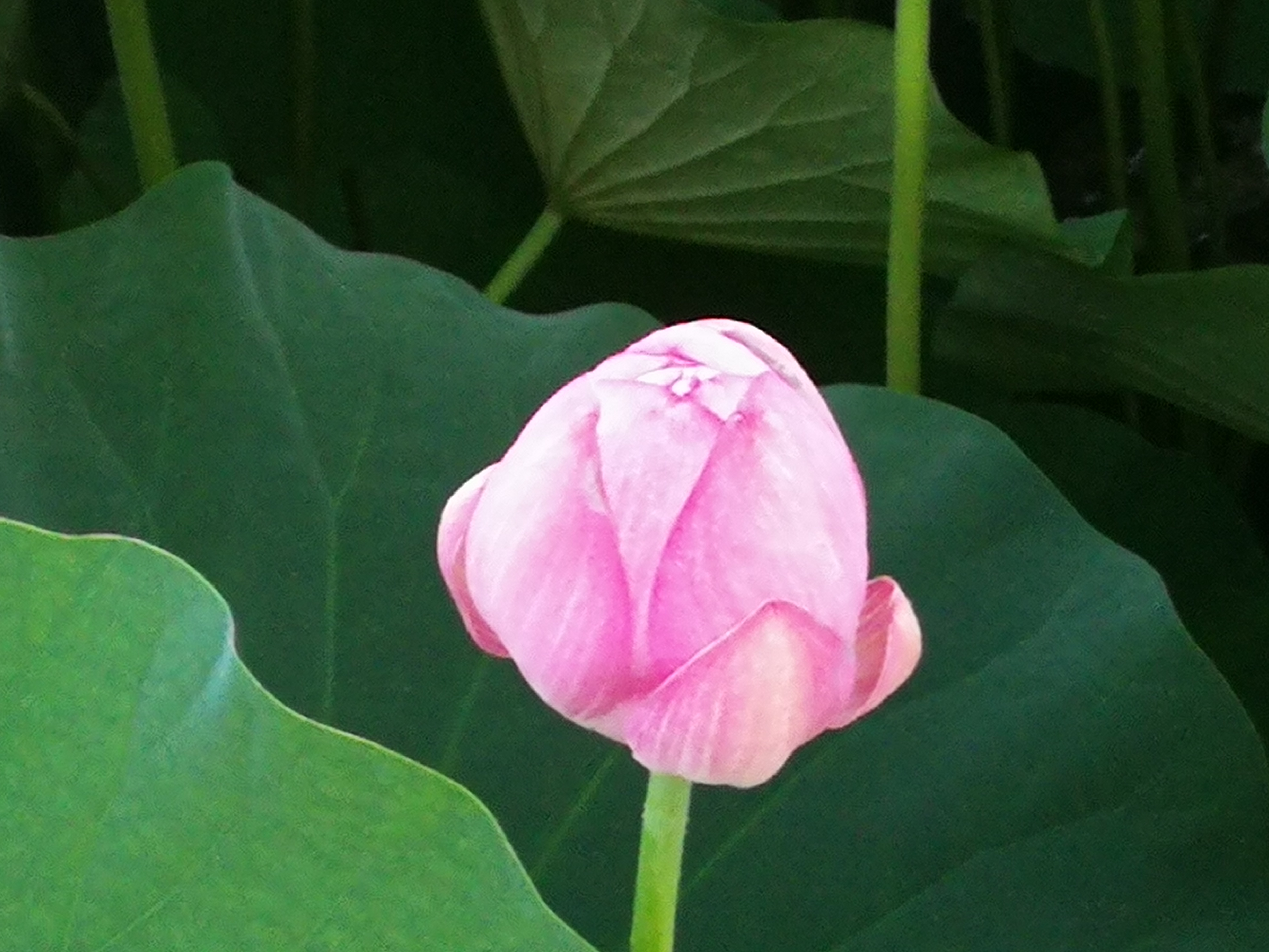 银行信用卡是怎么盈利的,一张信用卡可为银行带来多少收入