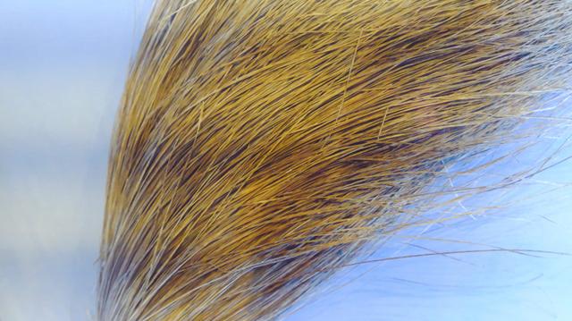 闯关东历史文化,闯关东记录了山东人的历史