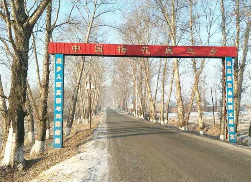 鹿茸蜡片泡酒为什么融化了,鹿茸泡酒的禁忌需要注意什么