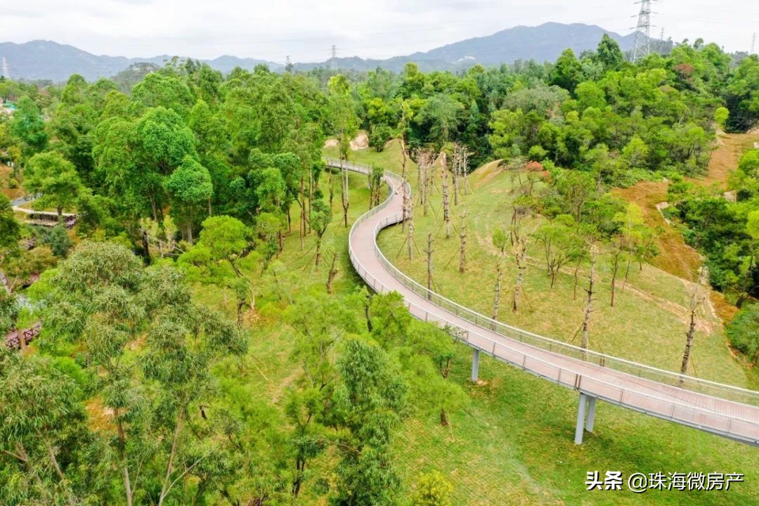 重磅！广州地铁将直通港珠澳大桥！限购放开！规划、旧村改造来了