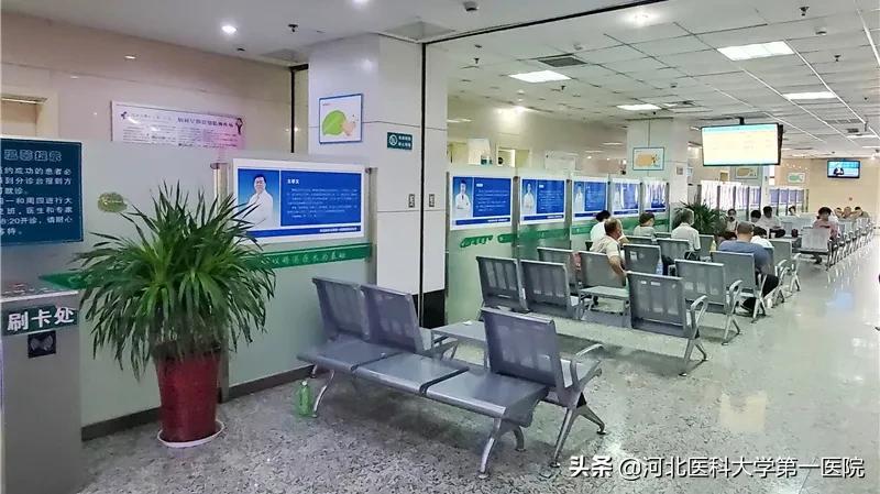 8大病区11个门诊多个特点诊疗，医大一院这个学科太“硬核”了