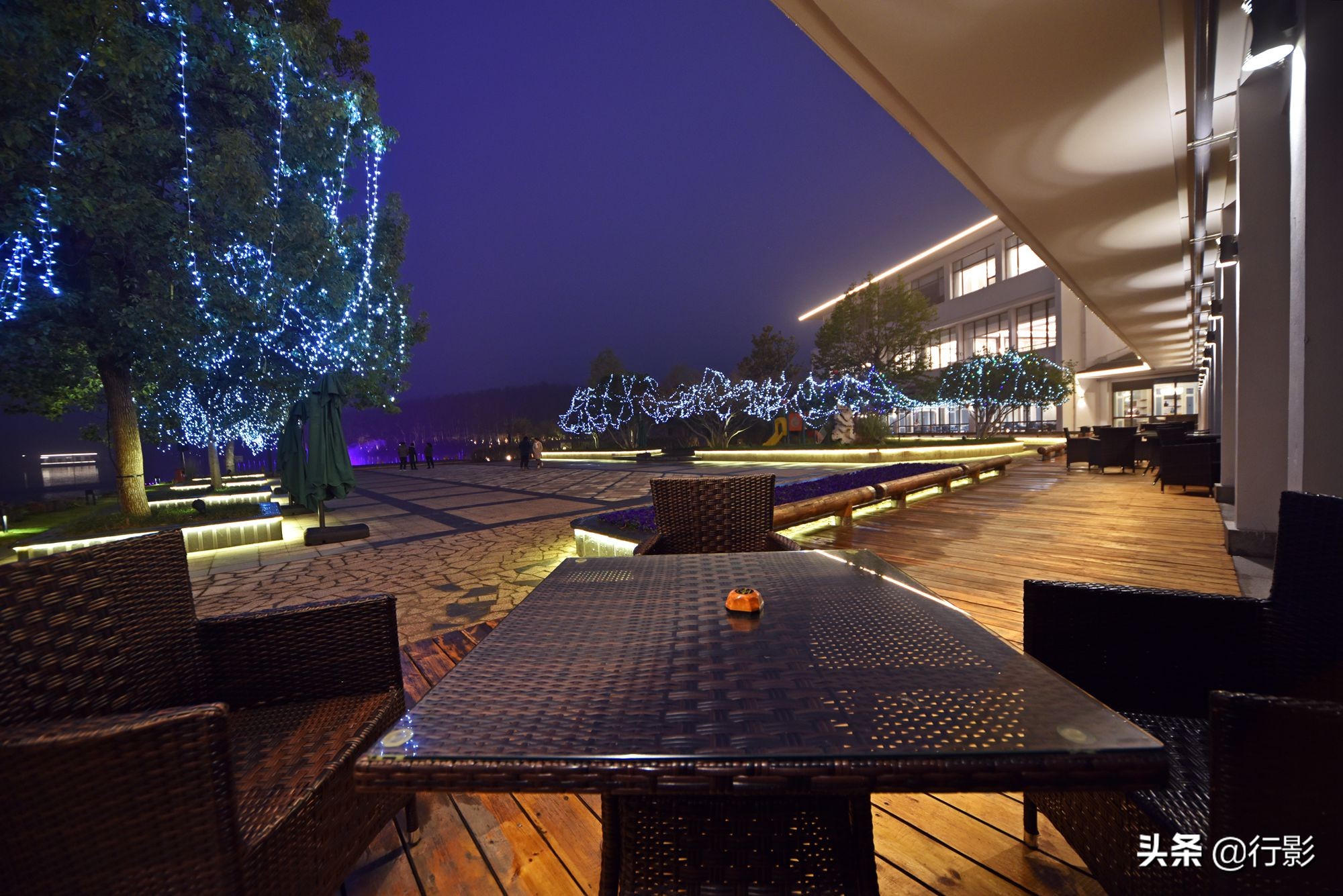 紫金山庄风景,南京紫金山风景区秋韵之美