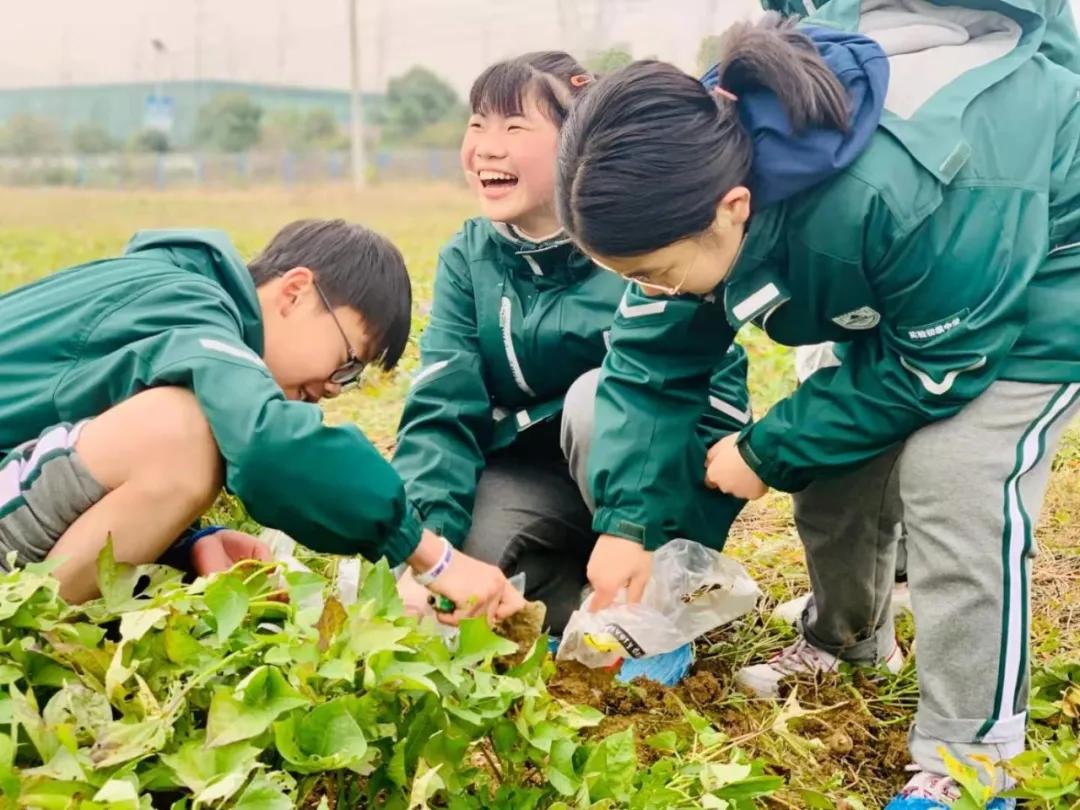 三位校长,三名校长