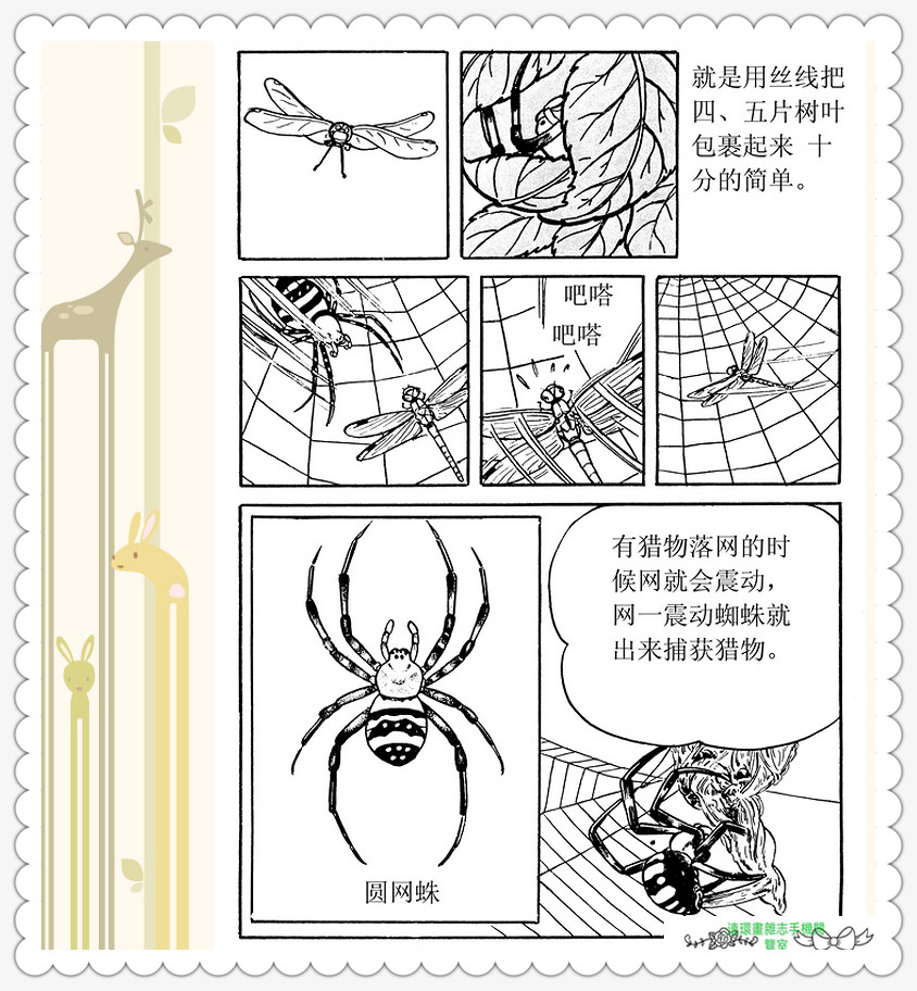 昆虫记法布尔动画片,昆虫记法布尔全套