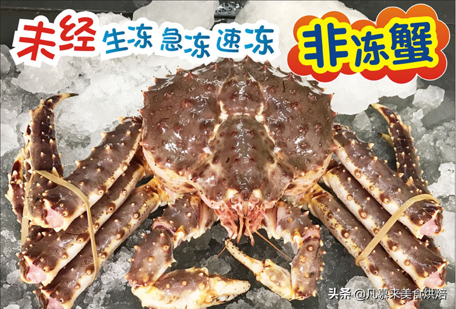 帝王蟹怎么处理？如何选购帝王蟹？哪种好吃？帝王蟹的五种吃法