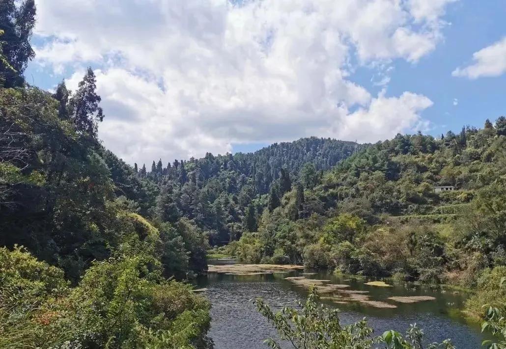 昆明市区旅游推荐避暑,昆明小众避暑景区推荐一下