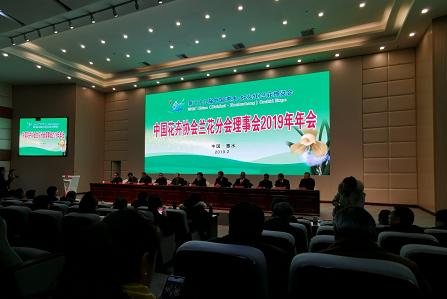 惠水第29届兰博会兰花获奖图片,惠水国际兰花展