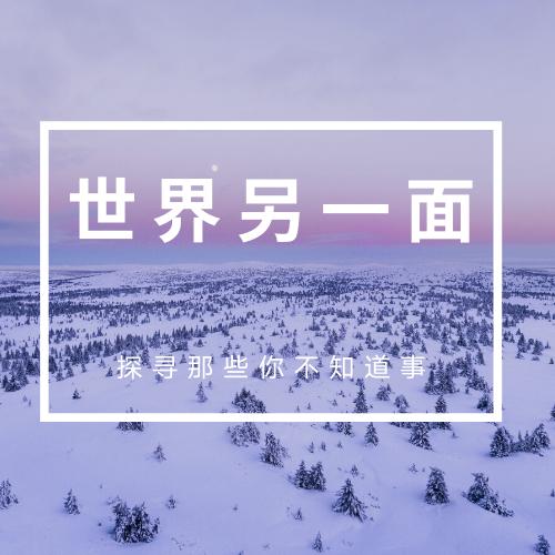 法国葡萄酒怎么分级,法国葡萄酒等级与价格表