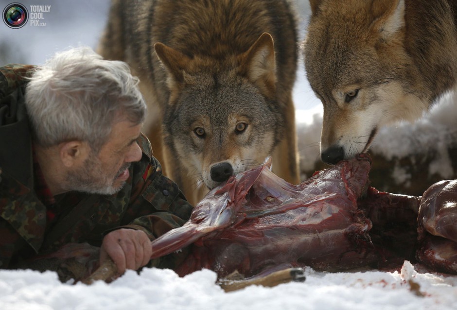辟谣！胎盘到底是“十全大补”还是在吃蛋白质？看完你还要吃吗？