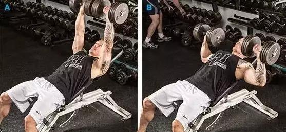 一对哑铃练胳膊和胸肌的动作,一对哑铃练出好身材健身教学