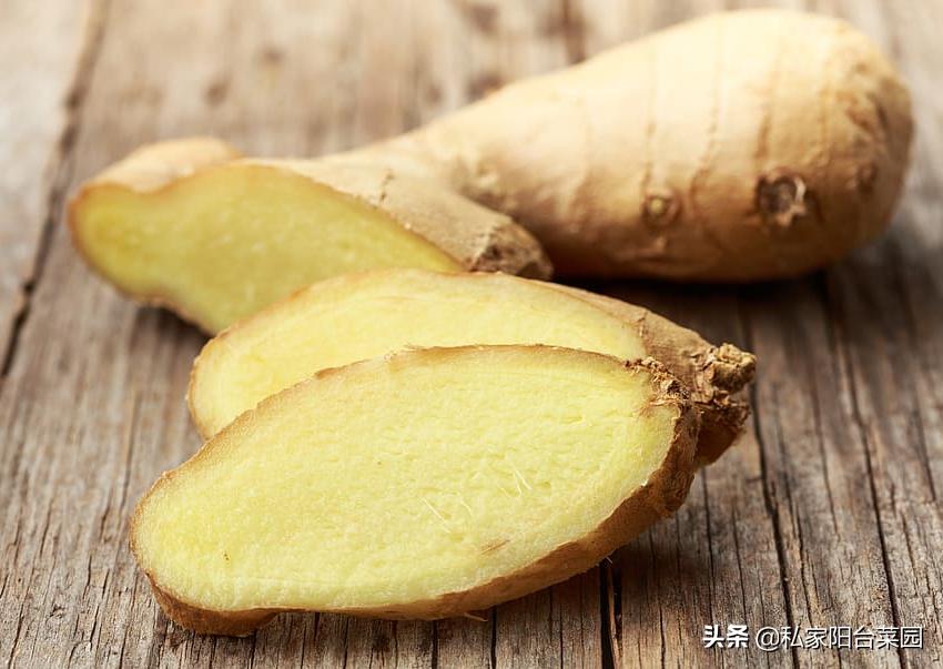 生姜怎样种植才能出姜率高,如何反季节种植生姜