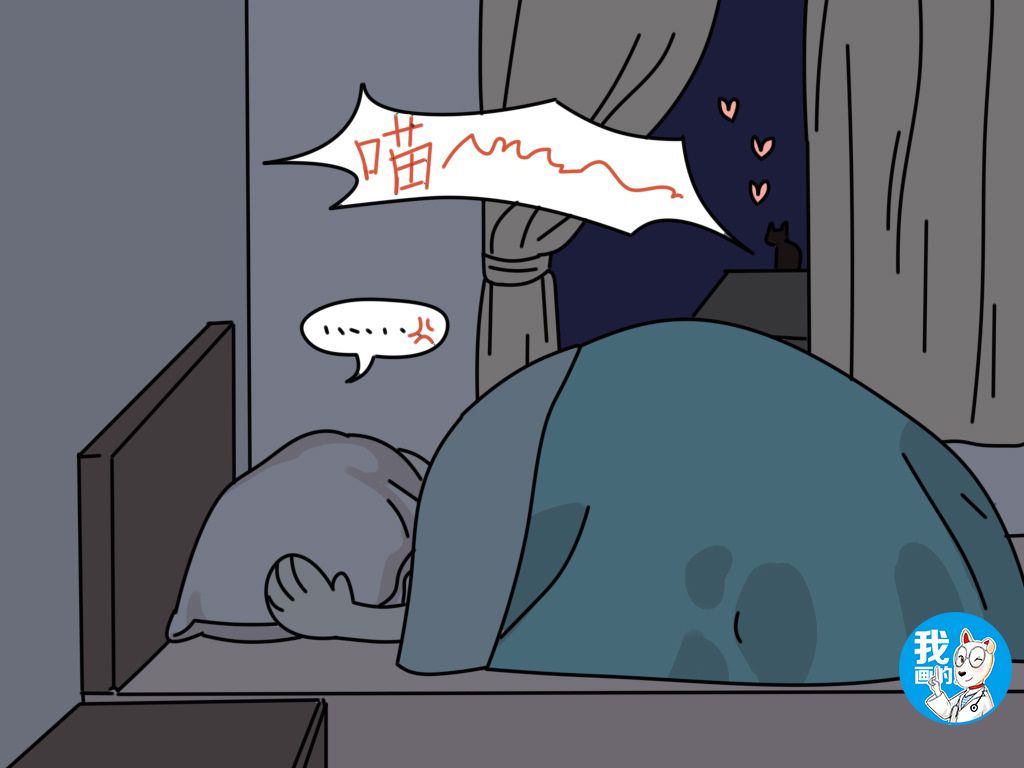 辟谣：猫咪发情也会来例假？出血很可能是身体不适的信号